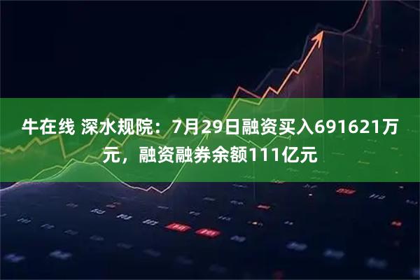 牛在线 深水规院：7月29日融资买入691621万元，融资融券余额111亿元