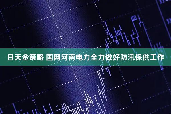 日天金策略 国网河南电力全力做好防汛保供工作